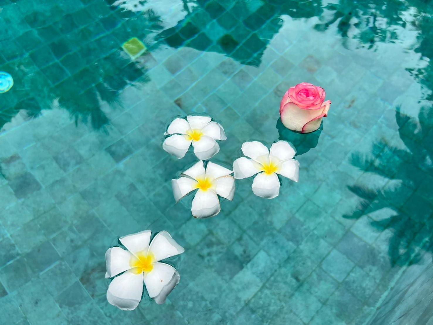 Chill Lay Resort Donsak Don Sak Esterno foto